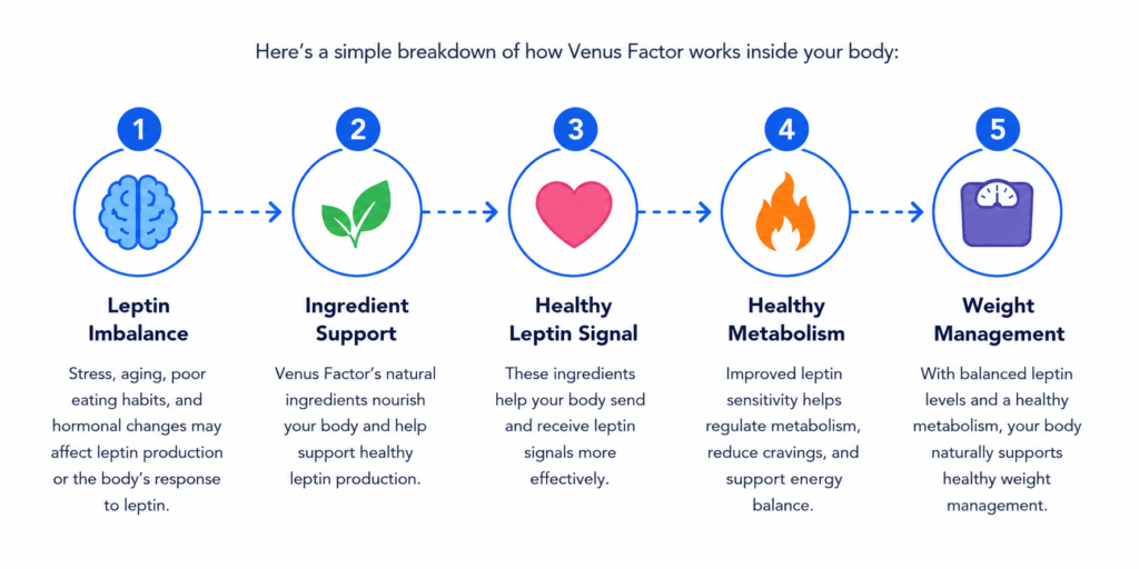 how venus factor works