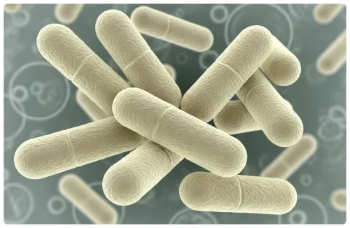 dentabiome ingredient-3